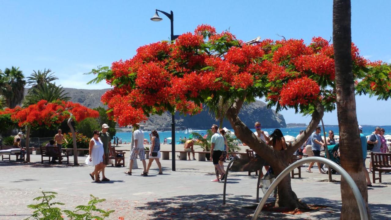 Playa De Los Cristianos Casa Adriano Buitenkant foto